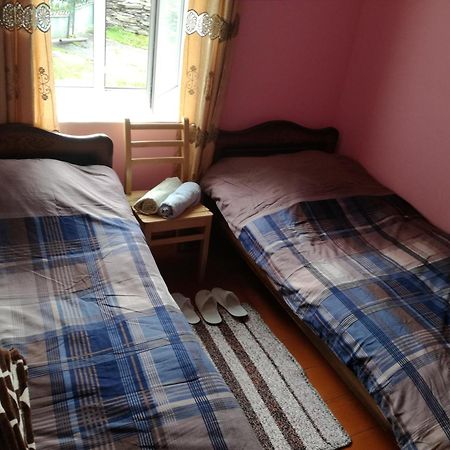 Guesthouse Ailama Ushguli Bagian luar foto